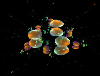 Similar image 22043040