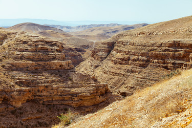 Similar image 22042820