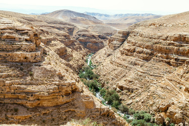 Similar image 22042822