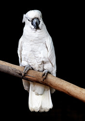 Similar image 22042854