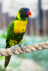 Similar image 22042858