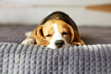 Similar image 22049848