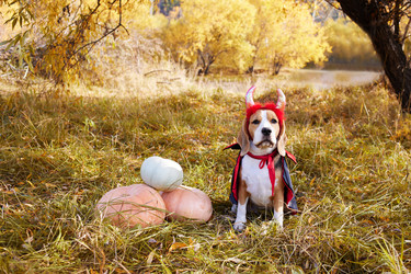 Similar image 22049852