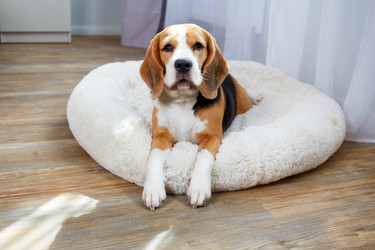 Similar image 22049854