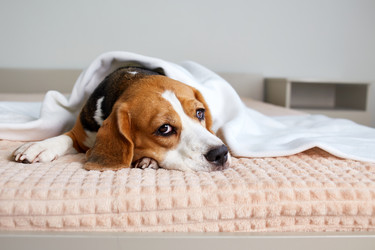 Similar image 22049859