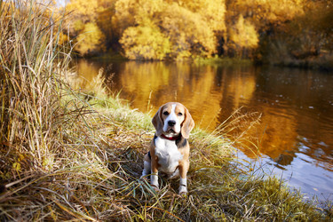 Similar image 22049860