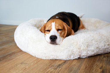 Similar image 22049862