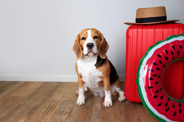 Similar image 22049864