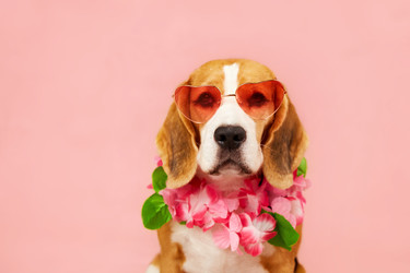 Similar image 22049866