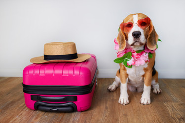 Similar image 22049867