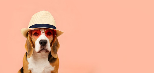 Similar image 22049870