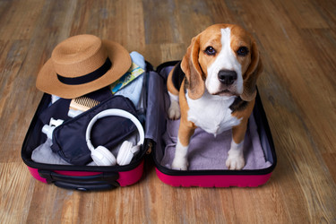 Similar image 22049874