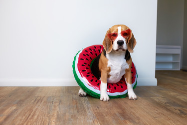 Similar image 22049876