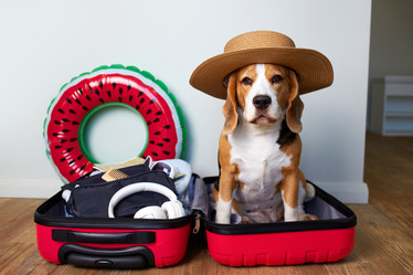 Similar image 22049878