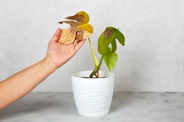 Similar image 22049879