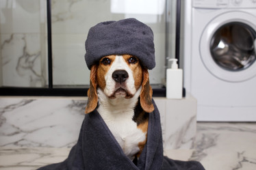 Similar image 22049919