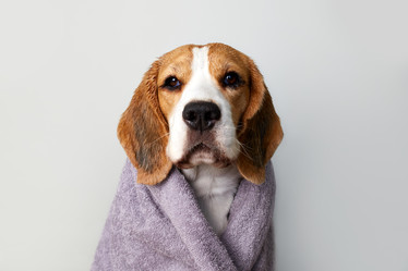 Similar image 22049922