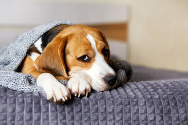 Similar image 22049925