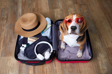 Similar image 22049926