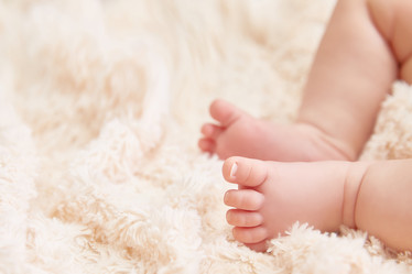 Similar image 22040670