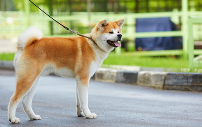 Similar image 22040461