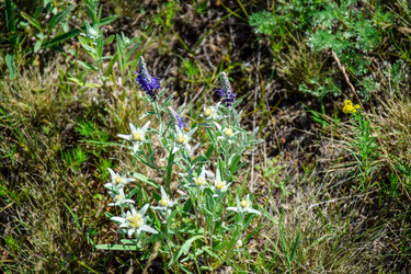 Similar image 22041401