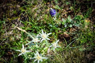 Similar image 22041403