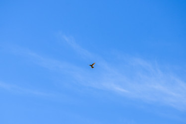 Similar image 22041405