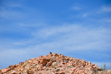 Similar image 22041408