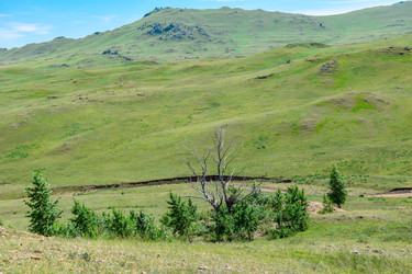 Similar image 22041414