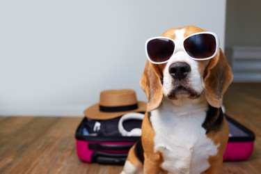 Similar image 22049581