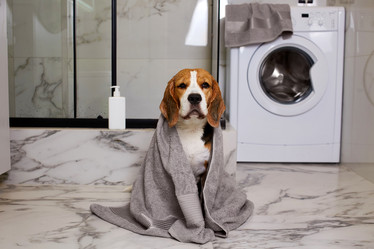 Similar image 22049582