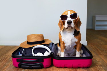 Similar image 22049585