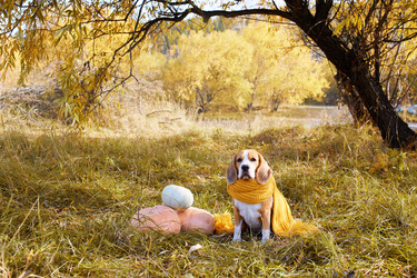 Similar image 22049587