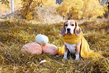 Similar image 22049588