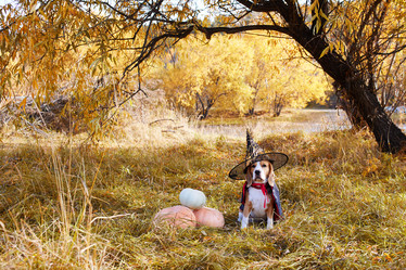 Similar image 22049589