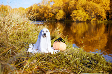 Similar image 22049590