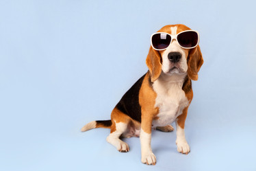 Similar image 22049593