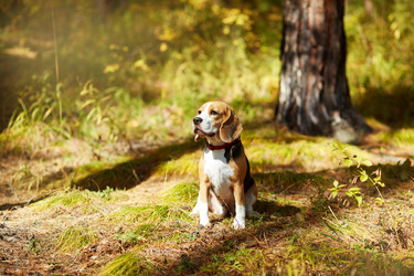 Similar image 22049594