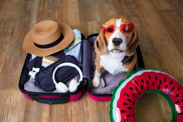 Similar image 22049595