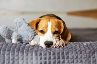 Similar image 22049601