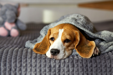 Similar image 22049603