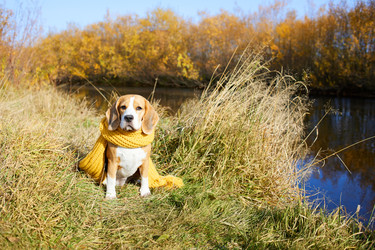 Similar image 22049604