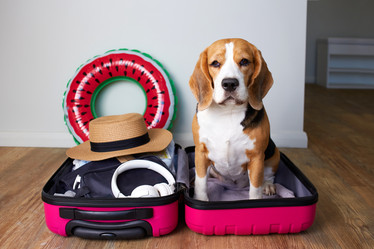 Similar image 22049721