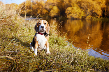 Similar image 22049722