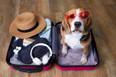 Similar image 22049723