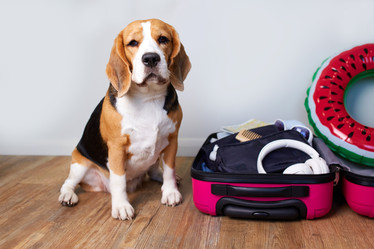 Similar image 22049724