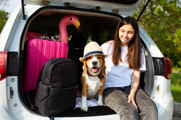 Similar image 22049725