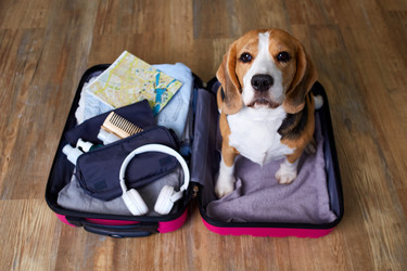 Similar image 22049741