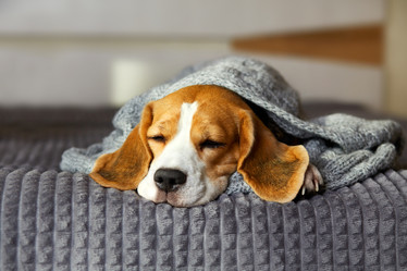 Similar image 22049880